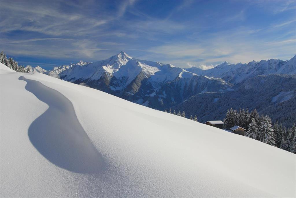 Almstueberl - Schiestl'S Ferienhuetten ไมย์อาโฮเฟิน ภายนอก รูปภาพ